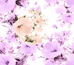 粉色花卉图案背景纹理