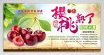 樱桃 灯箱 展板
