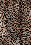 豹纹图案纹理背景图