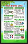 居民体重管理核心知识海报