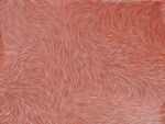 粉色红色毛发纹理