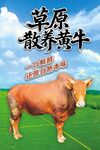 黄牛海报