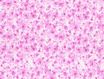 粉色碎花背景纹理图案