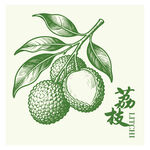 手绘荔枝图海报