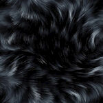 黑色毛绒纹理背景