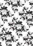 黑白花卉图案背景