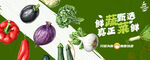 蔬菜海报