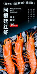 阿根廷红虾
