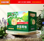 青柚包装 柚子礼盒