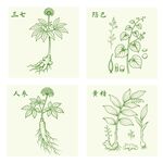 三七防己人参黄精中药材