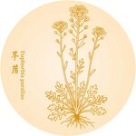 葶苈花植物线描图案