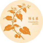 锡生藤植物图案设计元素