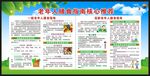 老年健康宣传周宣传栏
