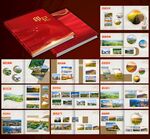 水墨商端领导纪念画册模板