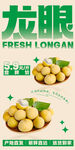龙眼 