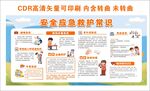 安全急救知识 安全急救展板