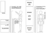 人偶 人体厨房尺寸参考