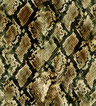 蛇皮纹理图案
