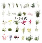 绿植花卉花艺素材