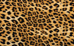 豹纹图案纹理