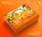 桔子包装 芦柑礼盒