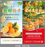 橙子宣传