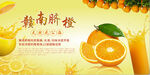 赣南脐橙宣传