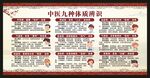 中医九种体质辨识宣传栏