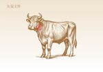 牛动物素描插画版画