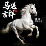 白马 马送吉祥 马 马年 