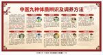 中医九种体质辨识