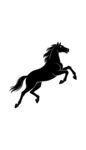 奔腾骏马剪影