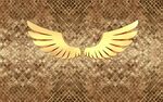 金色羽翼图案