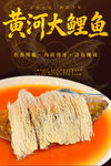 黄河大鲤鱼
