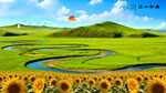 草原向日葵