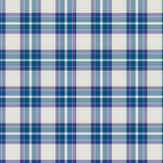 蓝白格子图案纹理