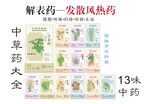 中药大全之解表发散风热药