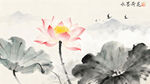 水墨荷花图 飞鸟伴荷景