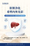 肝脏净化重塑内外光彩