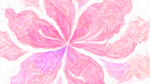 梦幻粉色花卉抽象图案