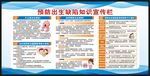 预防出生缺陷日宣传栏