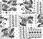 黑白佩斯利花纹图案设计