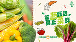 蔬菜海报