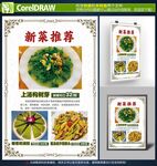 新菜推荐