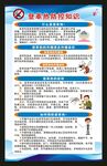 预防登革热知识海报