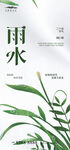 雨水