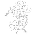 线条勾勒的精致花卉图案 矢量图