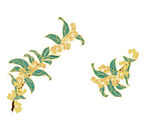 手绘桂花枝图案 矢量图