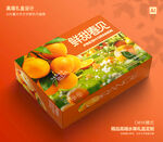 桔子包装 水果礼盒