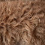 棕色毛发皮毛